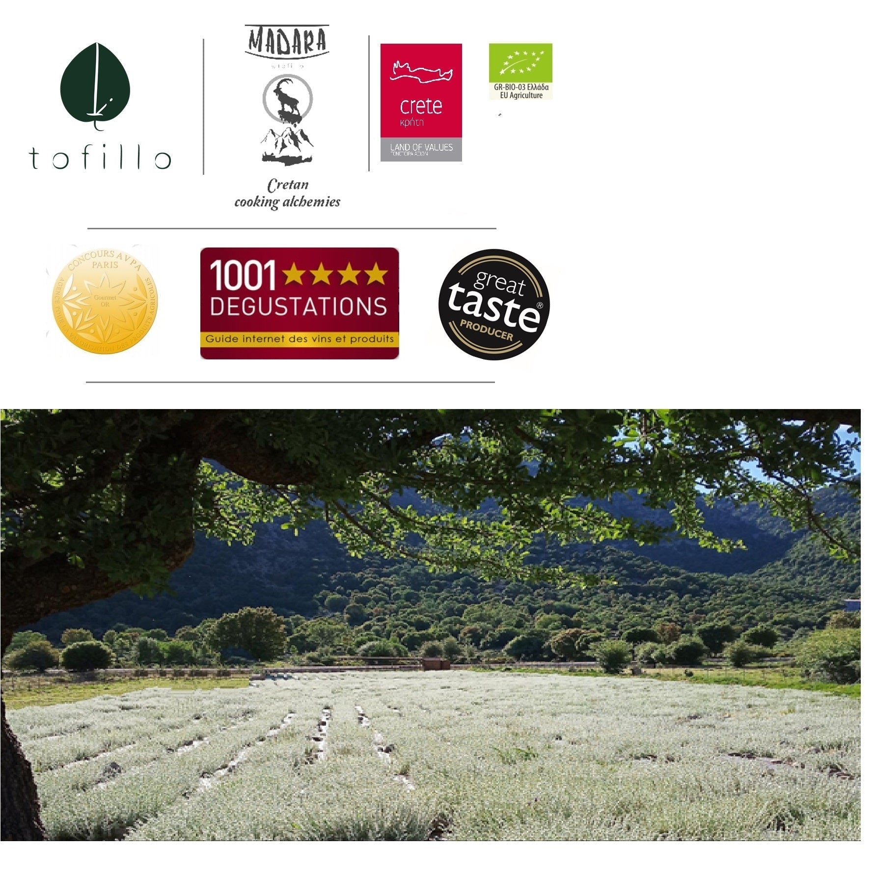 Organic Dittany tea from Crete | Premium Herbal Tea | Certified Organic Food at The Bio Foods Berlin