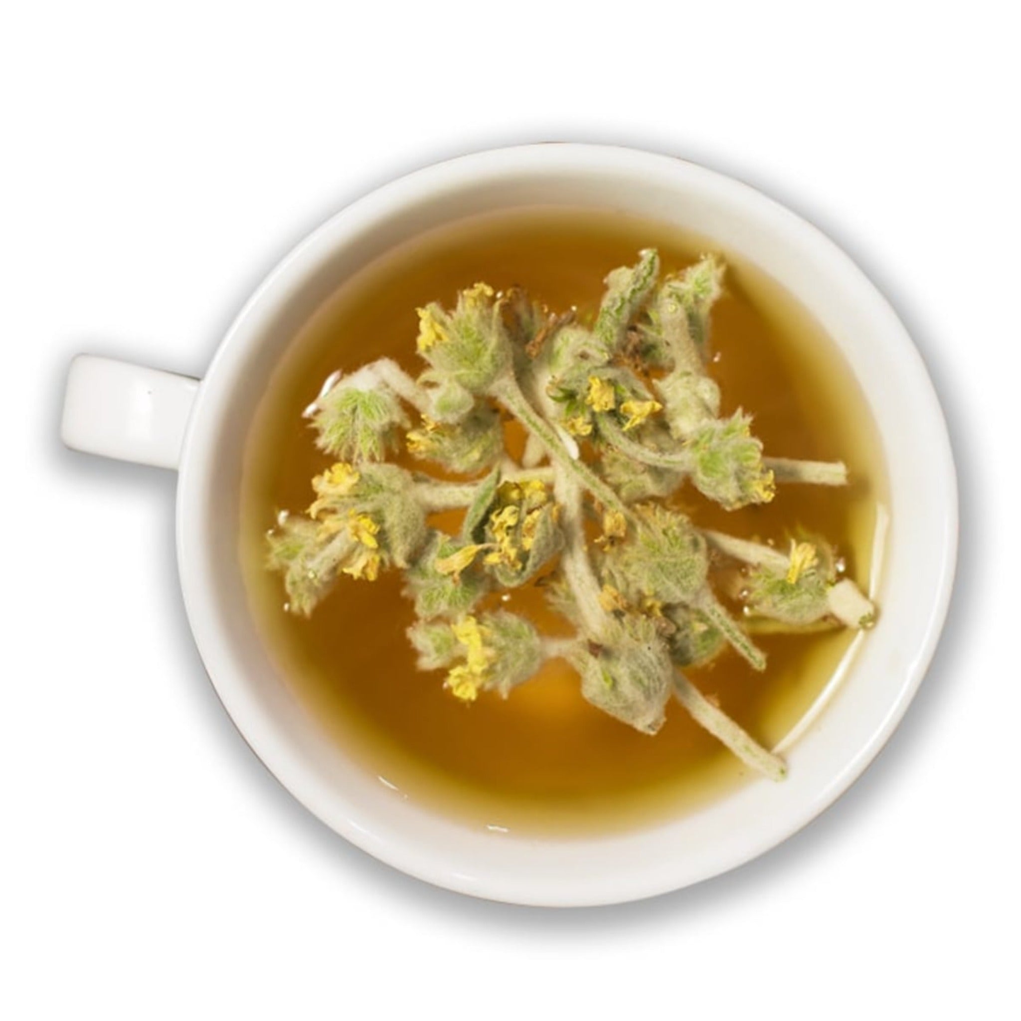 Organic Malotira Tea | Herbal Greek Mountain Tea | A cup of tea with malotira dried leaves.
