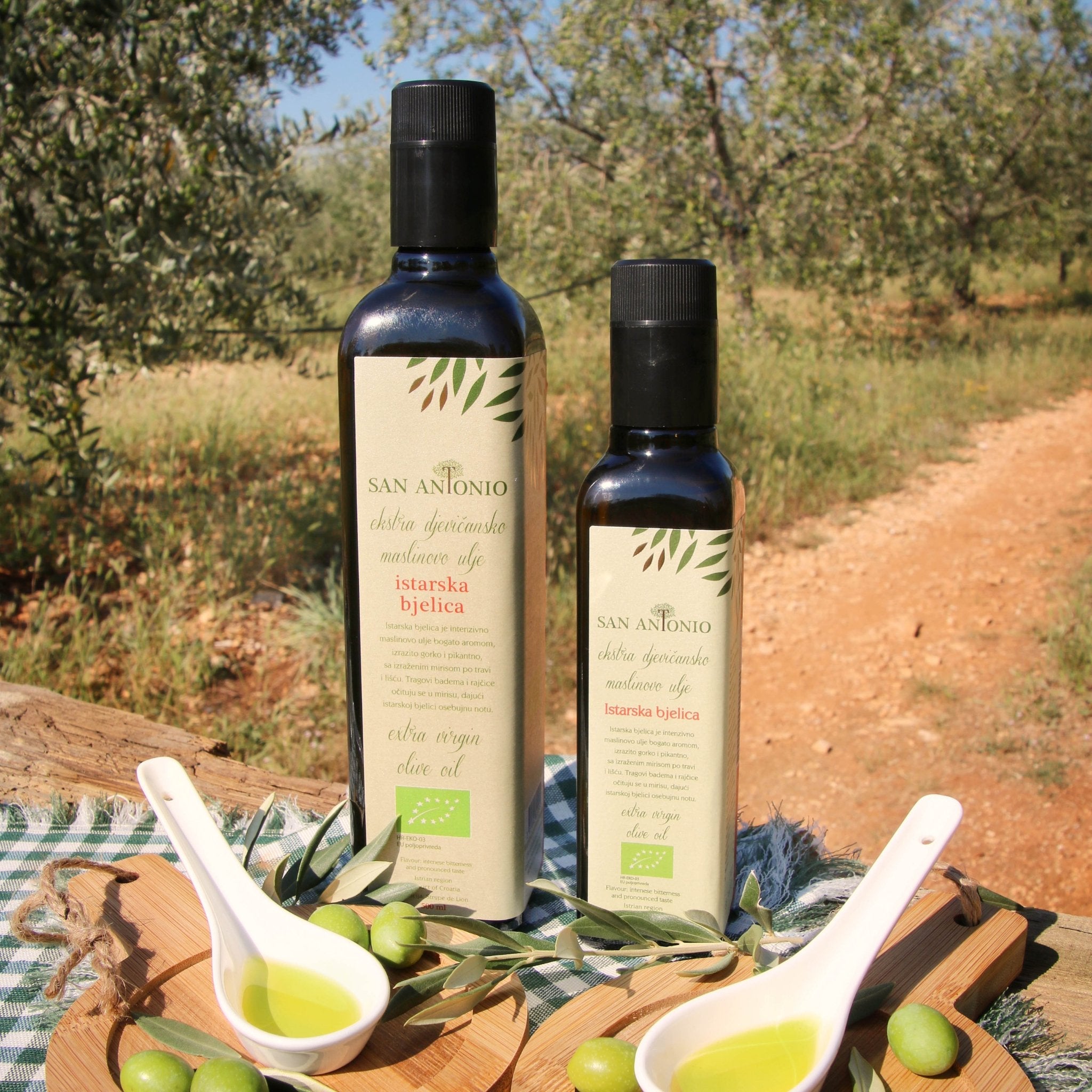Bottles of organic EVOO from Istria next to the olive trees. 